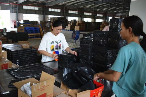 借力电商转型，美滋食品突围发展技术咨询策略